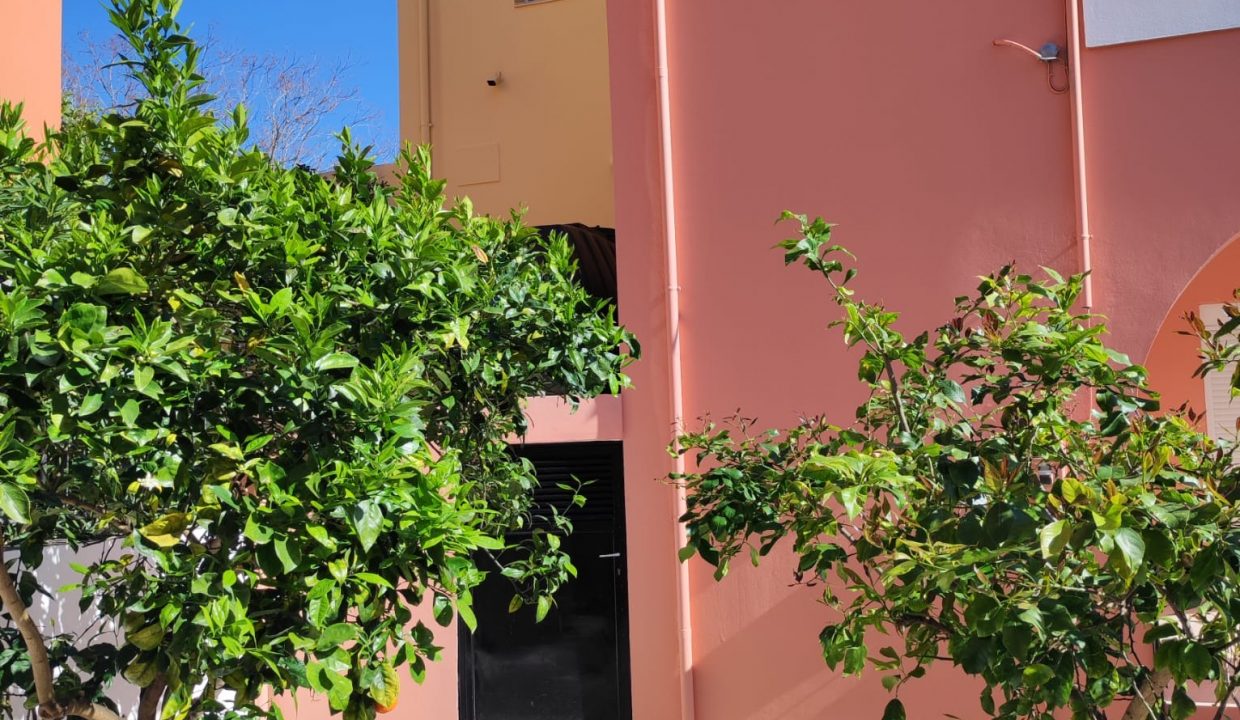 a6fb9613-7d13-429d-ac35-62bbd1490ec9