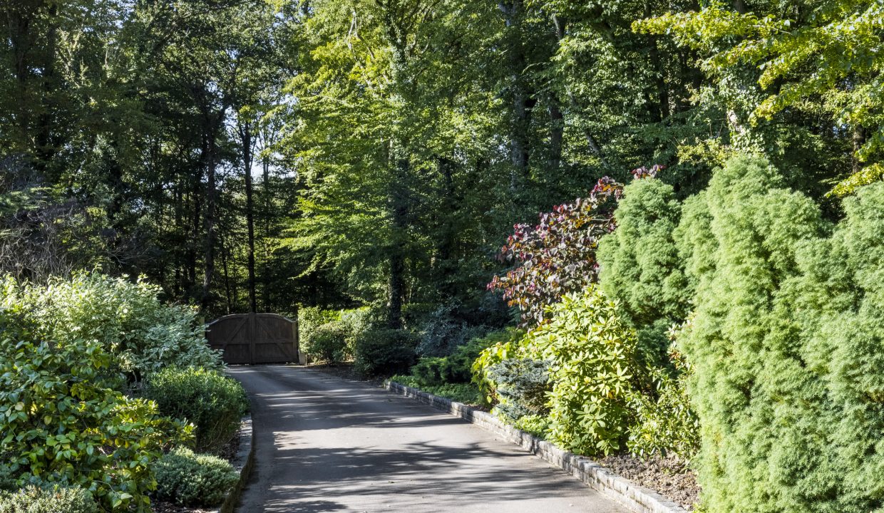 The-Lake-House,-The-Forestry-Road,-Plaistow,-Billingshurst,-West-Sussex,-RH14-0PB-7